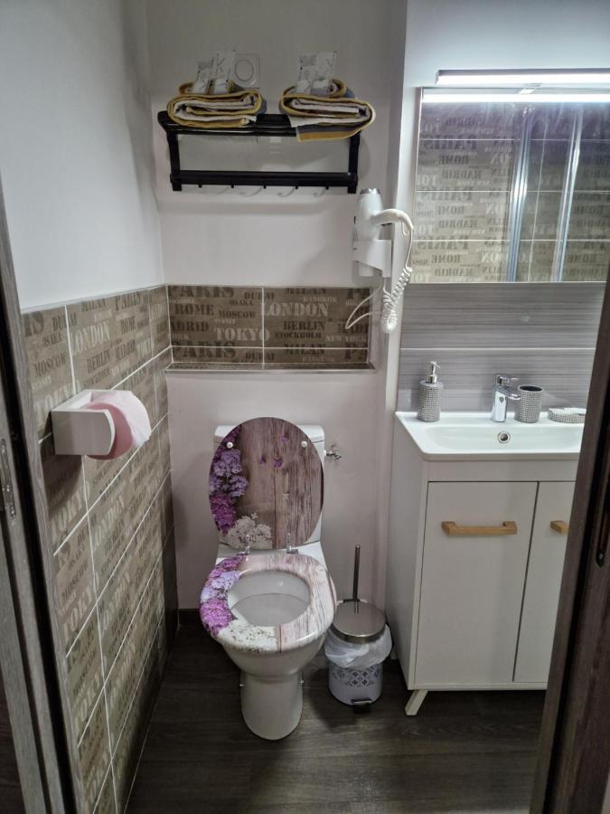 Studio Meuble Au Rdc , Proche Lac Aix-les-Bains Kültér fotó